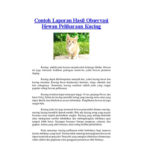 Contoh Teks Deskripsi Tentang Hewan Peliharaan Kucing Homecare