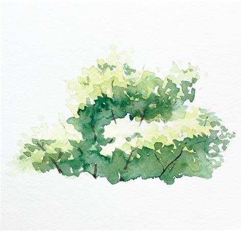 Watercolor Bushes And Trees In 4 Easy Steps Refine Art Blog