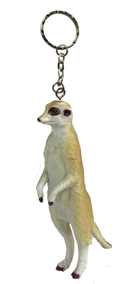 Meerkat Keychain Pack Of 6 Science And Nature