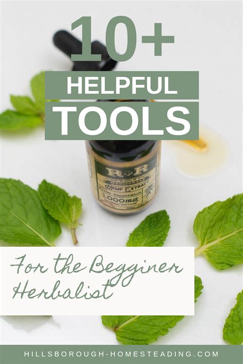 13 Things You Need To Have In Your Home Apothecary Herbalism Herbal