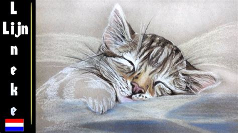 Drawing Course For Beginners Free Slapende Kitten Tekening Met Pastel