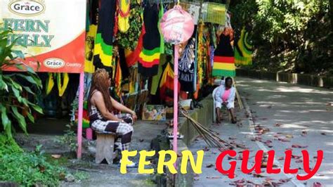 Ochi Rios Fern Gully Part 1 Jamaican Youtuber Youtube