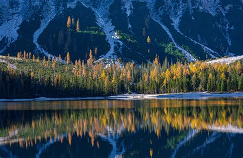 Forest Reflected By A Mountain Lake 4k Ultra Hd Wallpaper Background