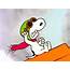 Snoopy  Peanuts Wallpaper 26798440 Fanpop