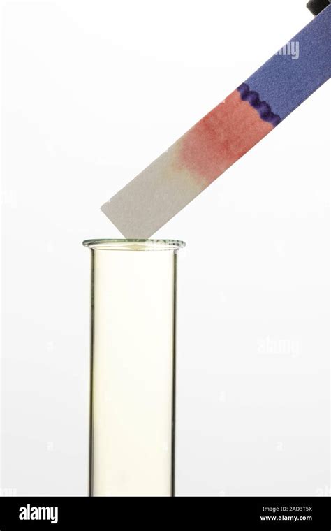 Positive Test For Chlorine A Moist Blue Litmus Paper Is Held Over A