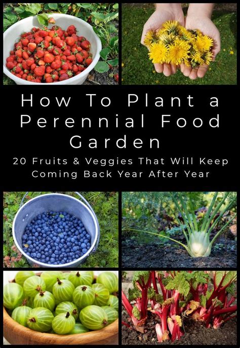 Perennial Fruits Veggies To Plant Once Harvest Year After Year Artofit