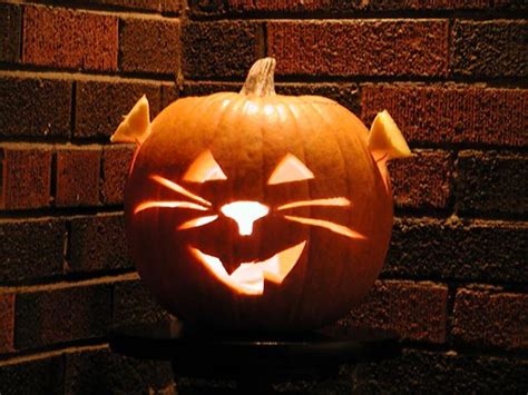 Halloween 2004 Pumpkin Pumpkin008 Ravenousx Flickr