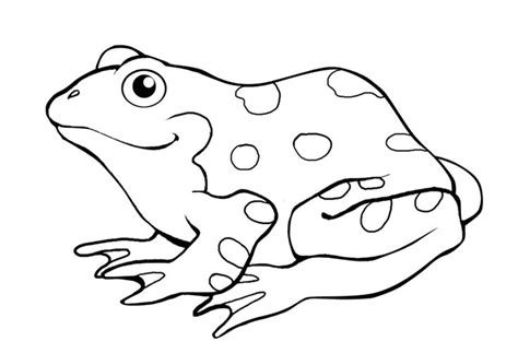 A frog mainly lives on bugs and small animals like earthworms, minnows and spiders.frogs…. frog trace | Free Frog Coloring Pages For Kids | Frog ...