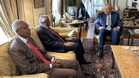 Shoukry Holds Talks With Eritrean Fm Presidential Adviser Egyptian