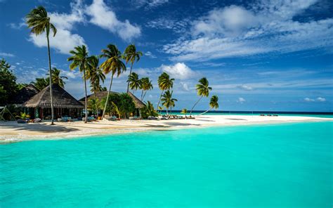 Tropical Island Maldives Indian Ocean Palm Tree Turkuaz Horizon