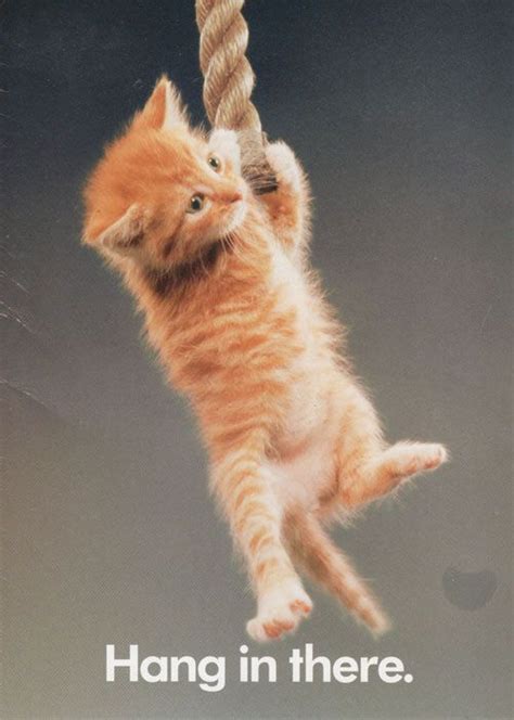 Its Friday Hang In There Classic Cat Meme Nostalgia Pinterest