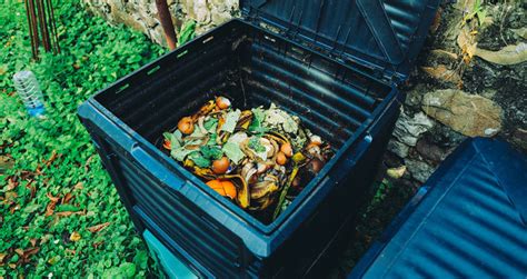 How To Use A Compost Bin Beginners Step By Step Guide