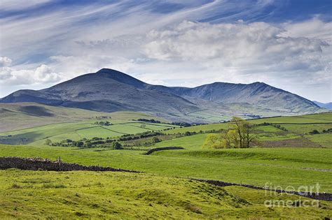 Skiddaw North Face The Lake District Cumbria England Uk Photograph By