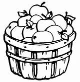 Coloring Apple Barrel Basket Apples Printable Fruit Fall sketch template