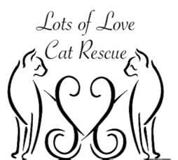 Lots of Love Cat Rescue - Animal Shelters - Wilmington, MA ...