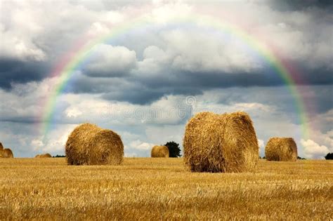 Harvest Strorm With Rainbow Stock Photo Image Of Land Crop 252520828