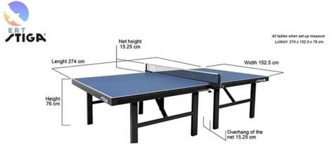 Basic Table Tennis Rules Pingsunday