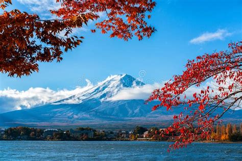 Mount Fuji In Autumn Color Japan Stock Image Image Of Asian Sakura