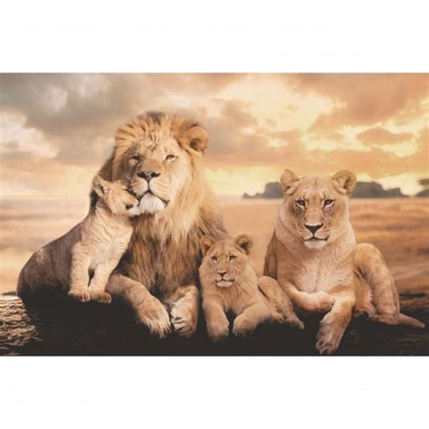Quadro Família De Leões 2 Filhotes Artístico
