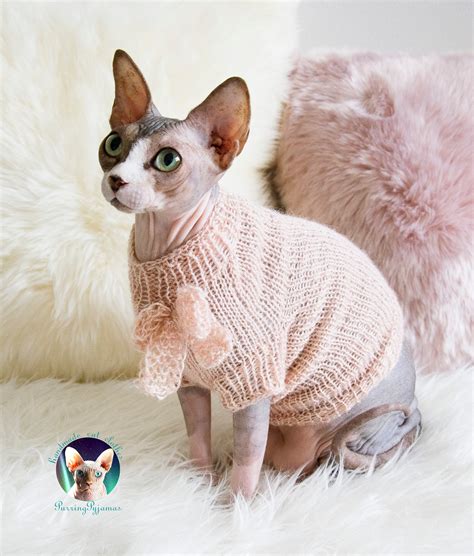 Hairless Cat With Sweater Clothes For Cat Sphynx Cat Clothes Sweater