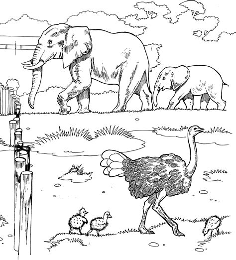 By giving your child to color these wild animals coloring pages printable, you are opening a new world to them. Free Elephant Coloring Pages