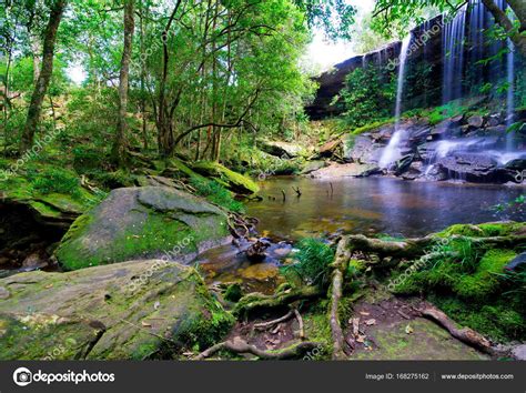 Pics Beautiful Rainforest Beautiful Tropical Rainforest Waterfall In