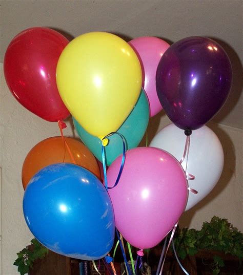 Party Balloons Free Photo Download Freeimages
