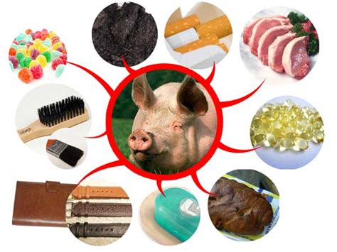 Makanan haram adalah makanan yang dilarang dikonsumsi oleh umat islam dan dapat digolongkan dalam dua golonan utama yakni karena zatnya maupun karena suatu kondisi. Saat Halal dan Haram Tidak Lagi Diperdulikan ...