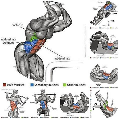 The skeletal muscles of the abdomen form part of the abdominal wall, which holds and protects the gastrointestinal system. The Benefits Of Treadmill Exercises | Weight training workouts, Abs workout, Gym workouts