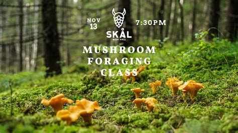 Mushroom Foraging Class Explore Washington State