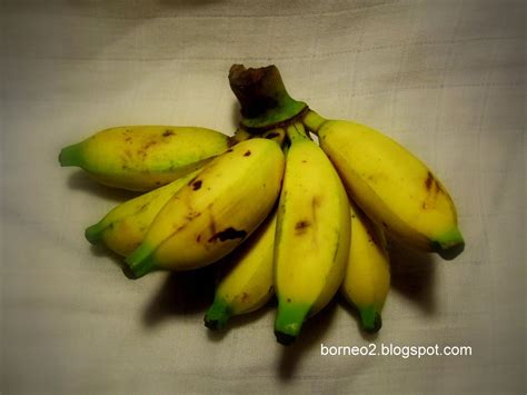Lady finger cake with bananas and vanilla cream: Banana - Lady's Finger / Pisang Emas