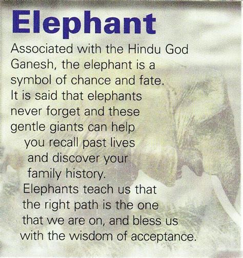 Elephant Animal Spirit Totem Spirit Guides Elephant Elephant Meaning