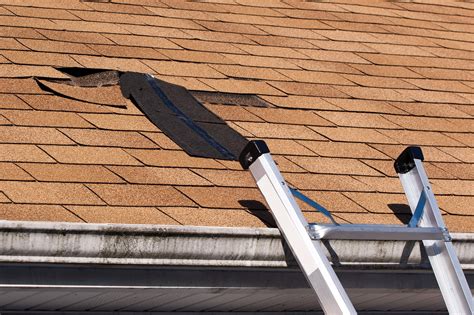 9 Telltale Signs Of A Damaged Roof