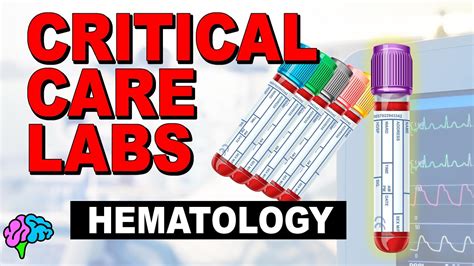 Hematology Complete Blood Count Cbc Critical Care Labs Youtube