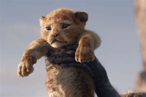 * the king is not at the crusades, but at home. The Lion King review: like the 1994 film, but without the ...