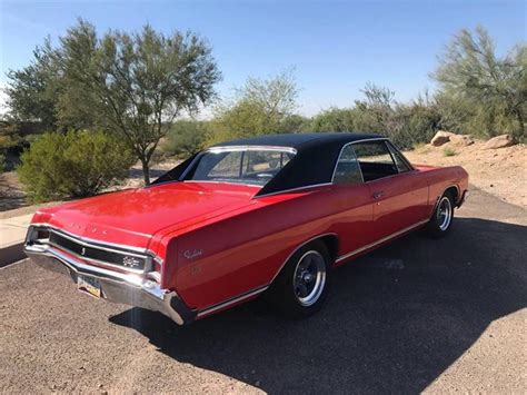 Since i didn't have a cage to put the bird's in (and they were both rather skittish), i made a neat cage for them in the back of my estate wagon by blocking off the backseat with clothes. 1968 Buick Skylark for sale in Long Island, NY ...