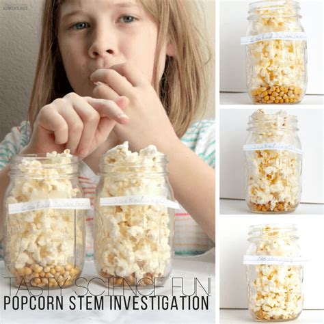Popcorn Science Stem Investigation Tasty Science Fun Fun Science