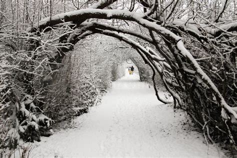 Walking In A Winter Wonderland Stock Photo Image 43551856