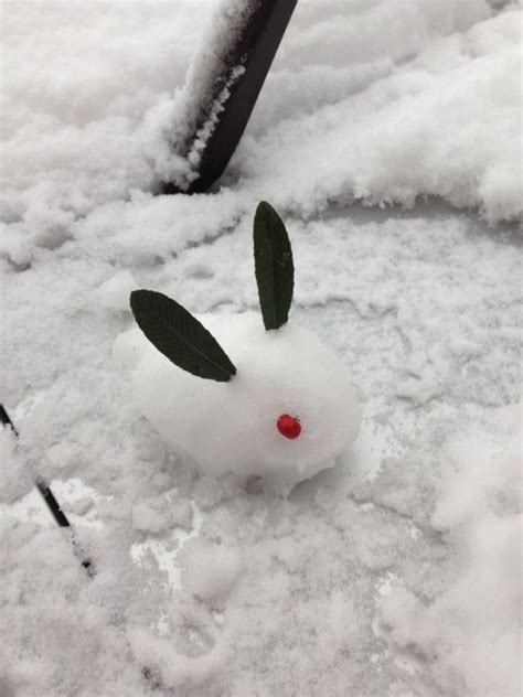 29feb2012 Tokyo Snow Rabbit ペット 雪うさぎ デザイン