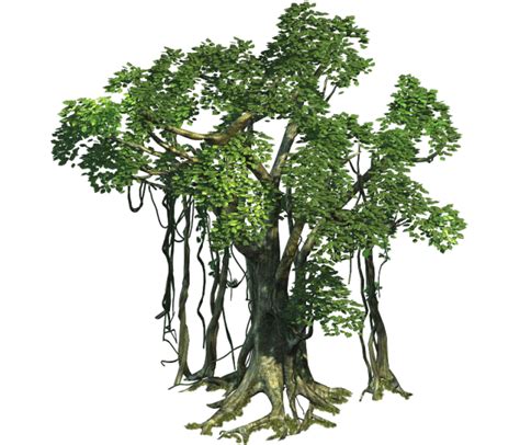 Realistic Tree Free PNG Image PNG Arts