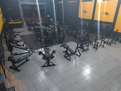 academia centro de treinamento integrado fabrício borges jardim da prata magé rj estrada