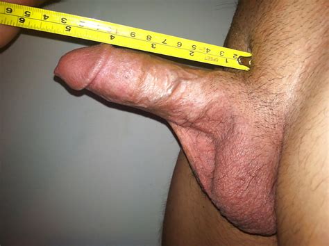 Average Penis Photo The Average Erect Penis Is Cm Inches