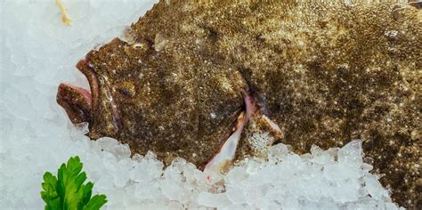 This Handy How To Cook Turbot Guide From Great British Chefs Explores