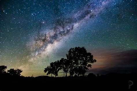 Photo Of Silhouette Tree Under Starry Night Hd Wallpaper Wallpaper Flare