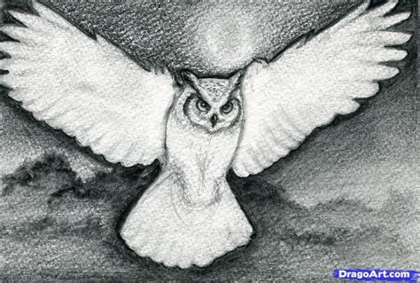 How To Draw A Realistic Owl Draw A Real Owl Step 11 Owls Drawing