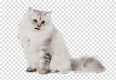 42 Transparent Calico Cat Cartoon Furry Kittens