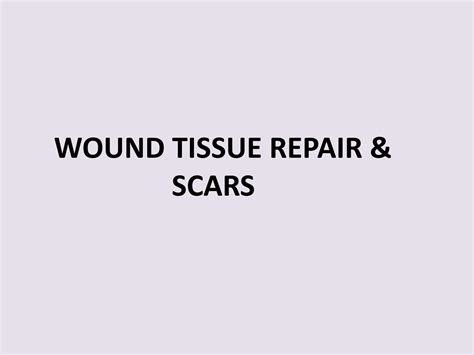 Solution Wound Tissue Repair Scars Studypool