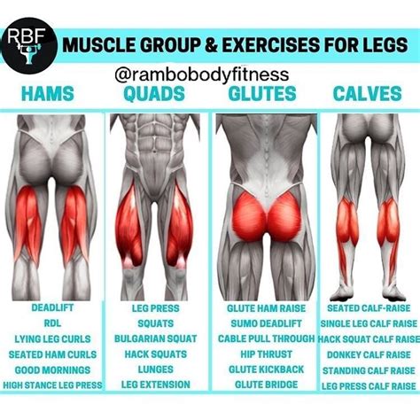 Full Leg Workout Gym Exercises For Muscle Growth And Strength Leg