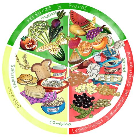 Top imagen dibujos del plato del buen comer para niños