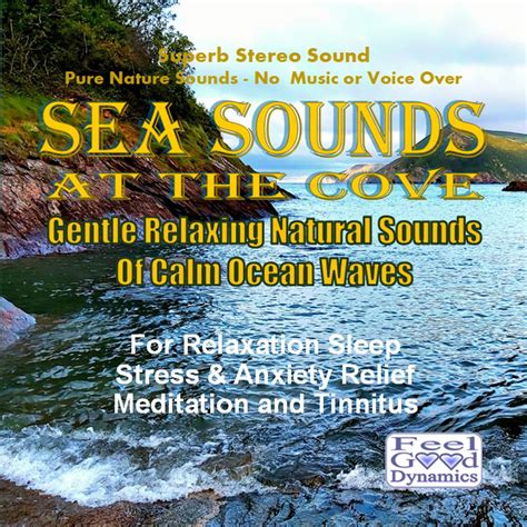 Sea Sounds Cd At The Cove Gentle Relaxing Natural Sounds Of Calm Ocean Waves Feel Good Dynamics